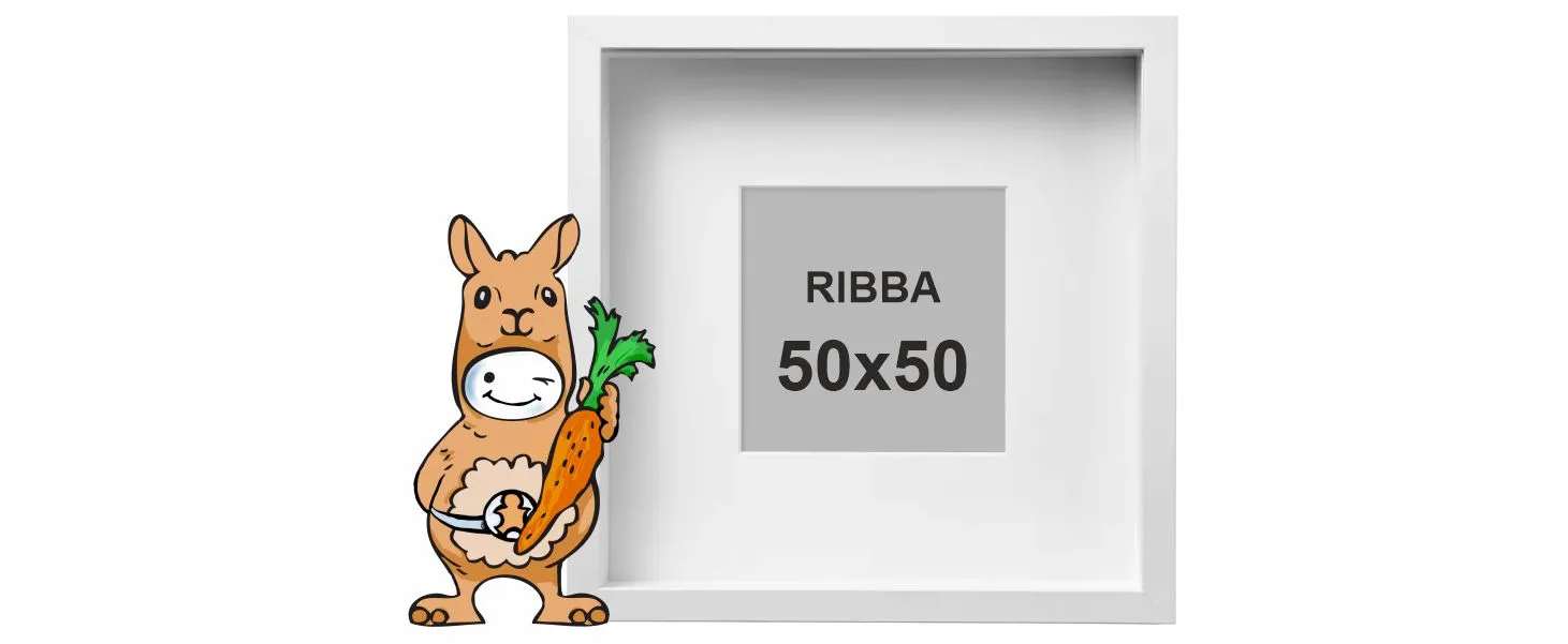 RIBBA 50x50