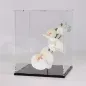 Preview: 3D INDIVIDUAL Vitrinen Konfigurator Ihre Vitrine nach Maß in 1 mm Steps