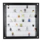 Preview: Click Vitrine PLUS Schwarz 500x500x60mm für 105 Lego® Figuren