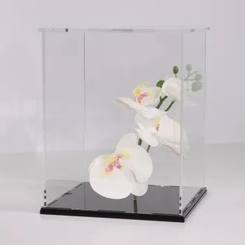 3D STANDARD Vitrinen Konfigurator Ihre Vitrine nach Maß in 5 cm Steps