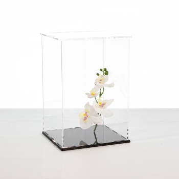 Preview: Acryl Vitrine LEGO® Droidenfigur LEGO Star Wars™ R2-D2 75308 T/B/H 190x240x340 mm