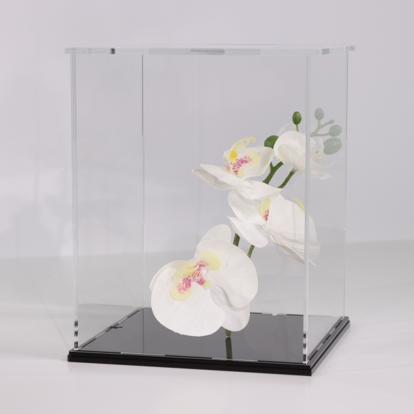 3D Basic Acryl Vitrinen Konfigurator nach Maß in 1 mm Steps