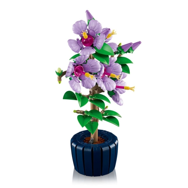 Acryl Vitrine für LEGO® Botanicals Hibiskus 10372 B/T/H 290x190x390 mm