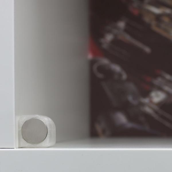 SKIVA Frontscheibe passend für IKEA® KALLAX Löwe 0219