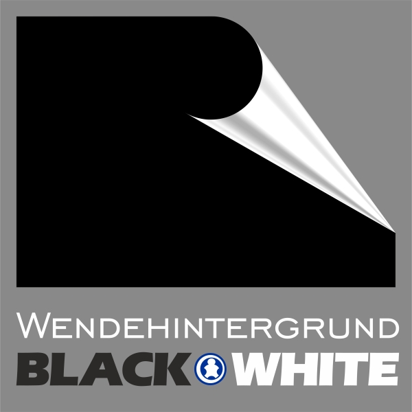 Click Vitrine PLUS Anthrazit 500x500x60mm für 72 Lego® Figuren